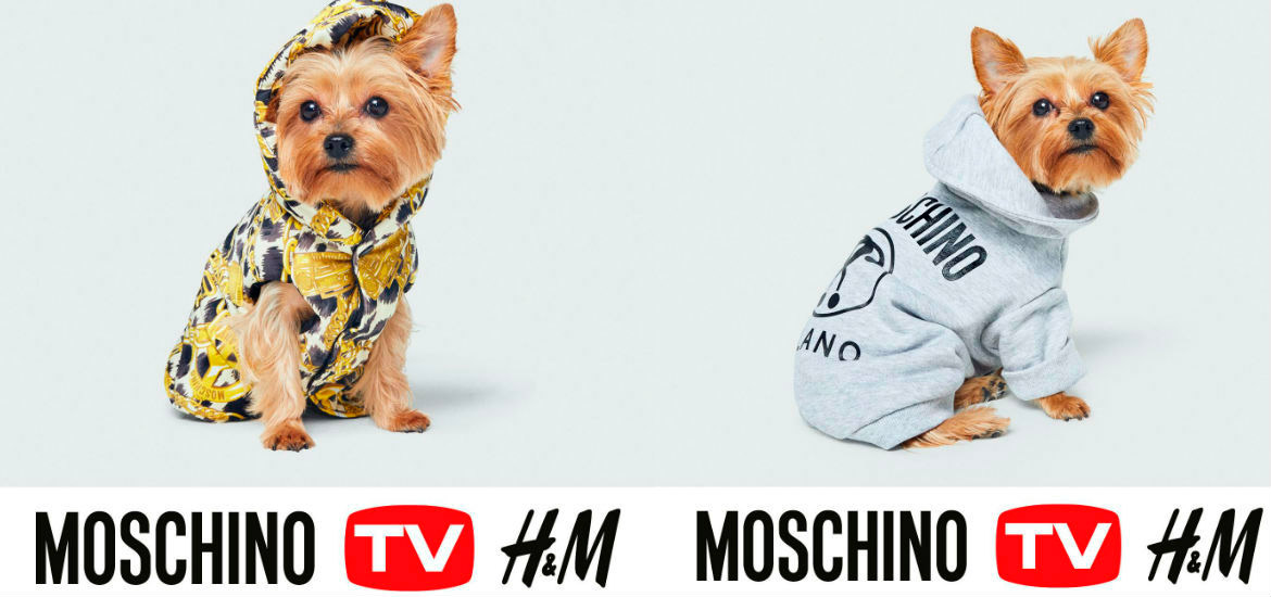 MoschinoxH&M