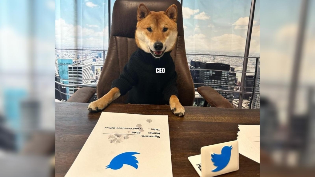 "Vuela" el pajarito azul de Twitter, mira quién llega en su lugar