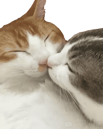 los videojuegos pueden reforzar los vínculos con tu pareja.- Blog Hola Telcel