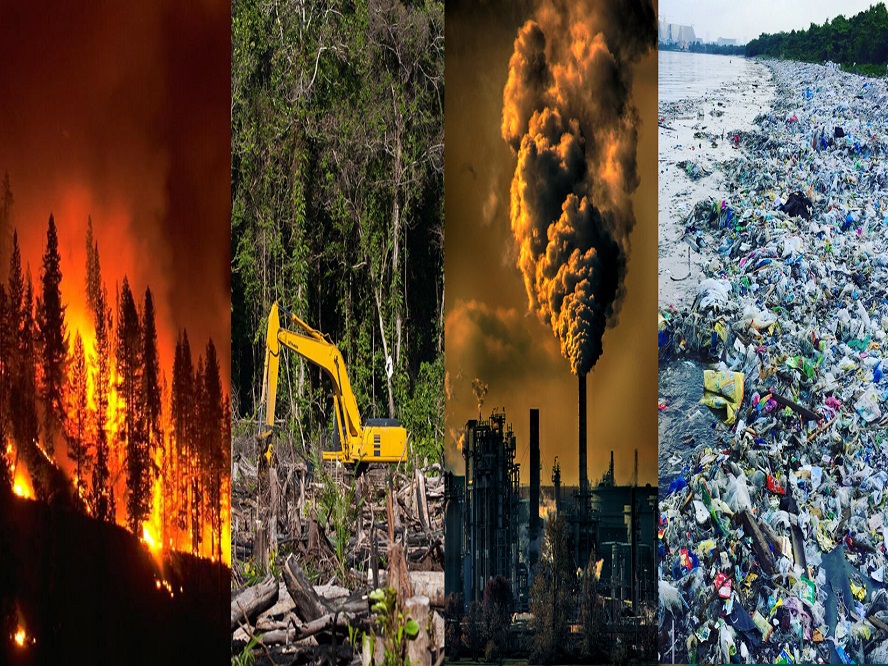 Fundación Yammine - Ecocidio; De qué se trata; Cuántos tipos hay - FOTO