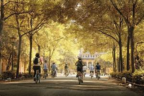Camilo Ibrahim Issa - Camilo Ibrahim Issa | ¿Sabias que rodear las ciudades con bosques es una solución urbana? Aquí te lo contamos