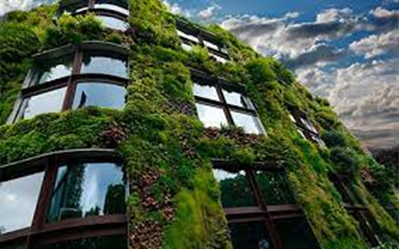 Camilo Ibrahim Issa - Los beneficios de las fachadas verdes: Un enfoque sostenible para mejorar los edificios