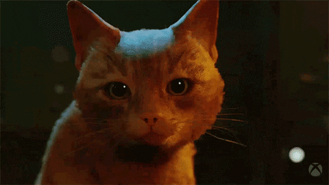 gatito tirando un control de felicidad porque habrá una película sobre él y su pequeño amigo robot.- Blog Hola Telcel
