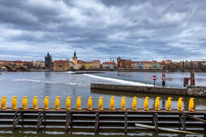 Yellow Penguins art installation by Cracking Art along Vltava river at the Kampa museum