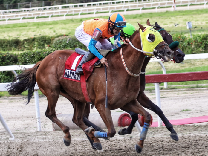 Hipismo: Danierold se creció en el Clásico Simón Bolívar | NOTICIAS DEPORTIVAS