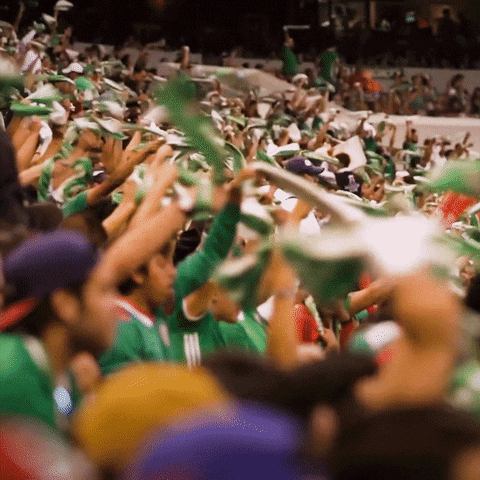 fans mexicanos celebrando la victoria de México ante Honduras y su clasificación directa a la Copa de Sudamérica 2024.- Blog Hola Telcel