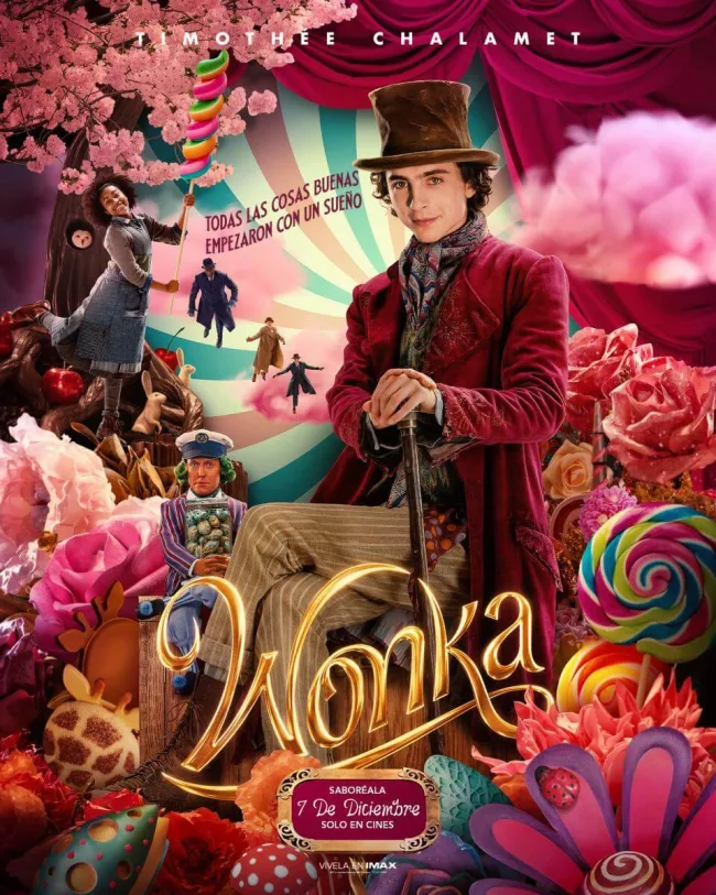 Wonka 462153073 large
