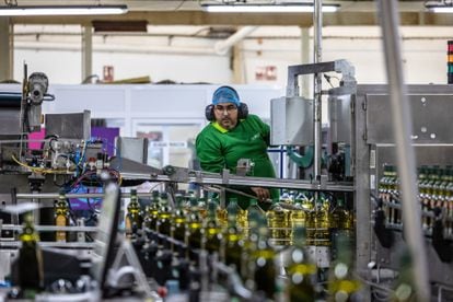 Un trabajador en una planta de la aceitera Deoleo en Córdoba. 