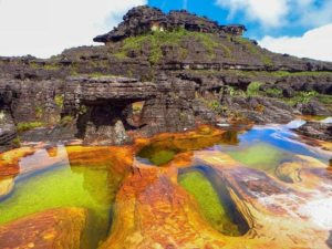 Hjalmar Jesús Gibelli Gómez |Descubriendo la Vida Silvestre del Parque Nacional Canaima: Una Joya Natural Llena de Especies Fascinantes 