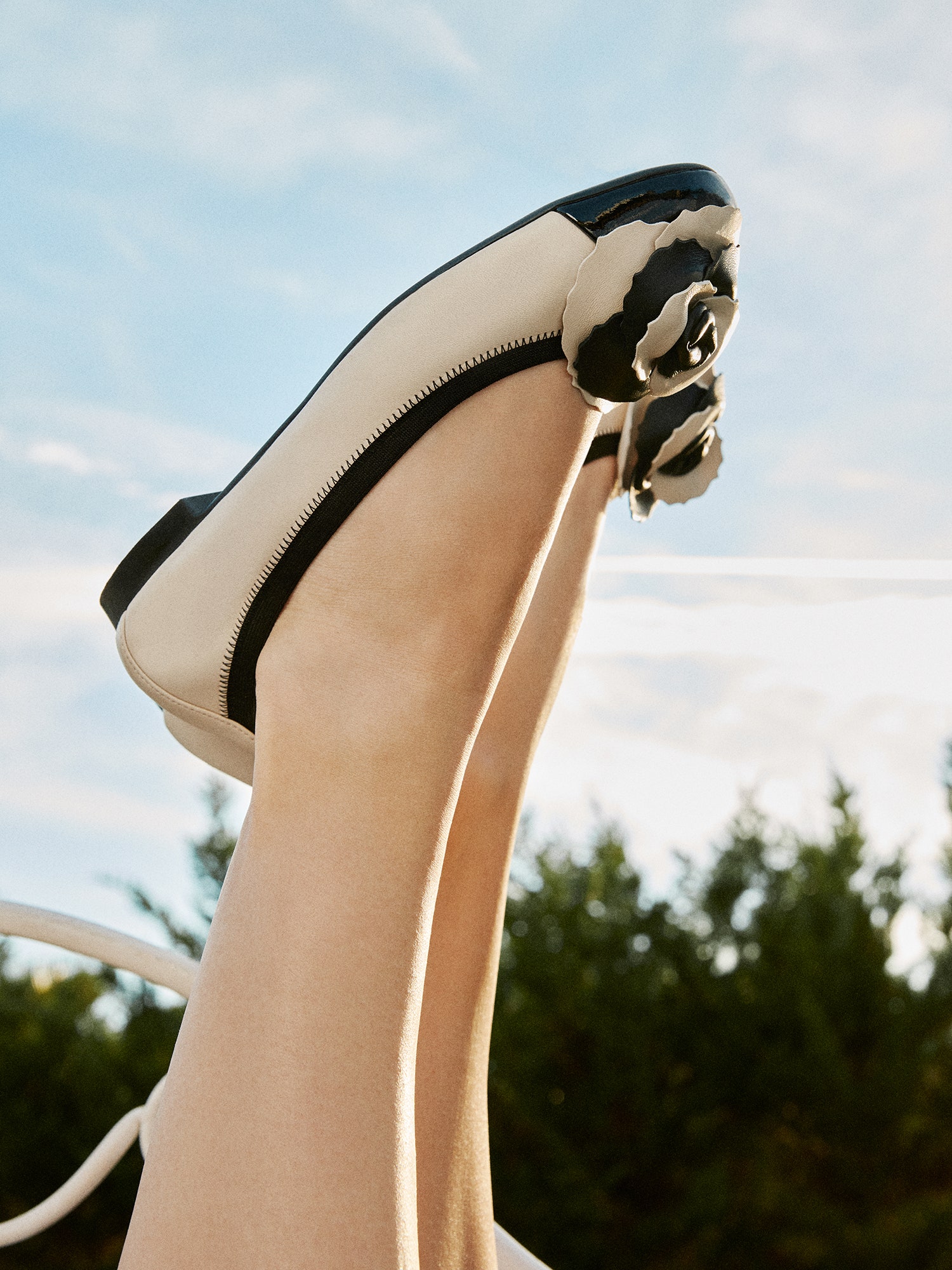 bailarinas de Pretty Ballerinas