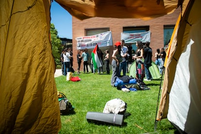 Varios estudiantes madrileños se establecen en una acampada indefinida en apoyo a Palestina, en el campus de la Universidad Complutense.
