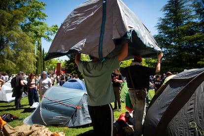 Dos alumnos de la Complutense buscan un espacio libre para su carpa en el asentamiento estudiantil propalestino en Madrid.