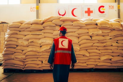 Un trabajador de la Media Luna Roja Saharaui en Rabuni, el complejo administrativo de los campamentos de refugiados en Tinduf (Argelia), observa las escasas existencias de alimentos almacenados, que apenas dan para mantener las distribuciones de comida en junio. 