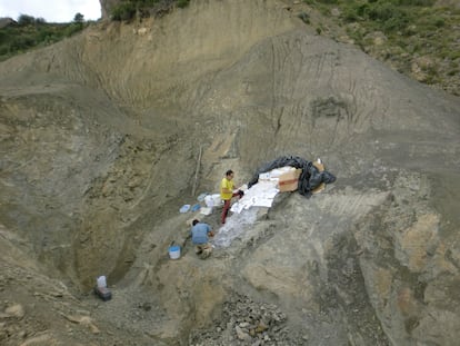 Excavació d'un titanosaure al Pirineu.