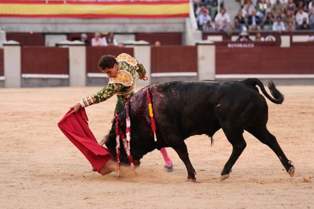 EL PAÍS