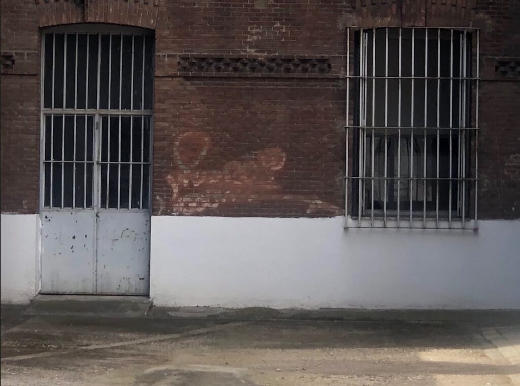 EL PAÍS
