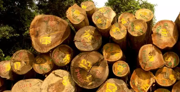 Construyendo un Futuro Sostenible: Materiales Ecológicos y Reciclados en la Industria de la Construcción 
