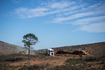 Un camión trabaja en la extracción de la madera quemada en la Sierra de la Culebra.