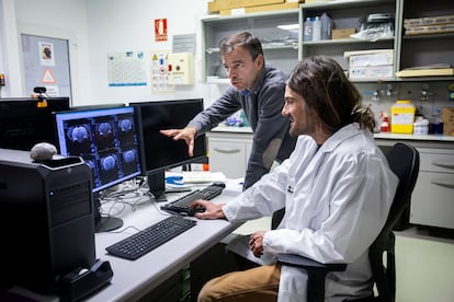 El investigador del CSIC Santiago Canals (en pie) y el técnico de imagen molecular Luis Tuset Sanchís, ante las imágenes de la resonancia cerebral de una rata en el Instituto de Neurociencias de Sant Joan (Alicante). 

