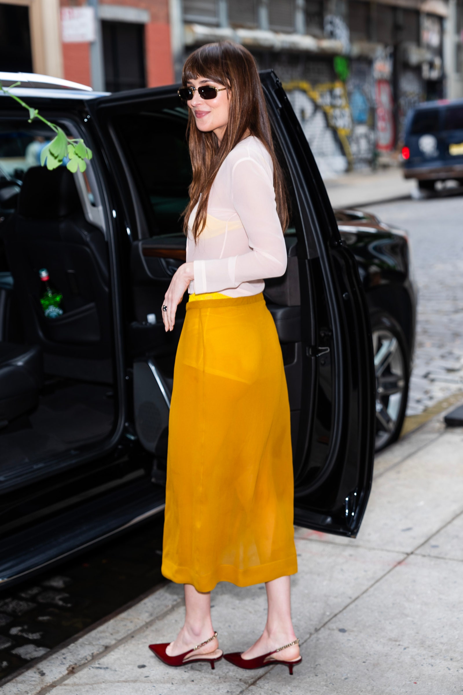 Dakota Johnson con un culotte de encaje y una falda transparente