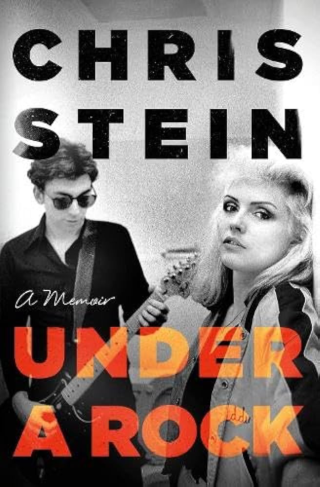 Under A Rock : Stein, Chris: Amazon.es: Libros