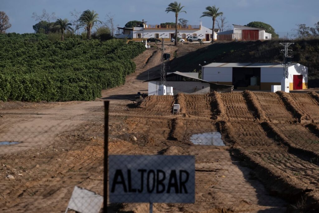 EL PAÍS