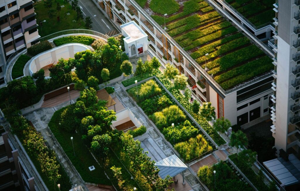 Planificación Urbana: Diseñando Ciudades para un Futuro Sostenible 