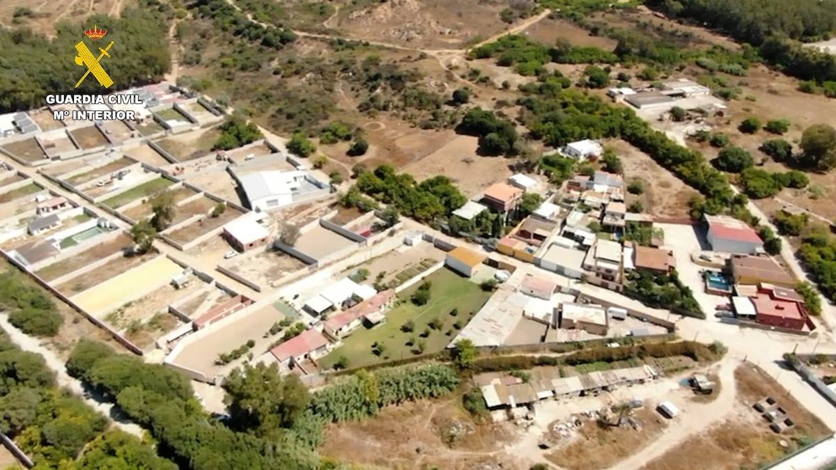 EL PAÍS