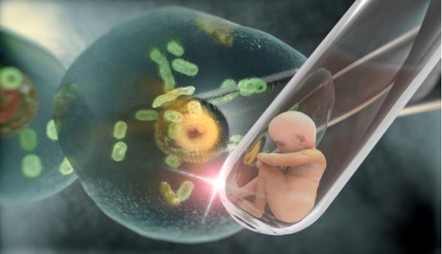 Explorando las Fronteras de la Reproducción Asistida: Inseminación Artificial y Transferencia de Embriones