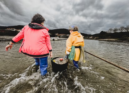 Inés García y Olga Rellán, mariscadoras del río Anllons (A Coruña).