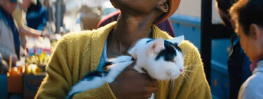 Creo que el gran acierto de 'Un lugar tranquilo: Día 1' es el gato: un movimiento de márketing perfecto que, además, marca el tono de la película