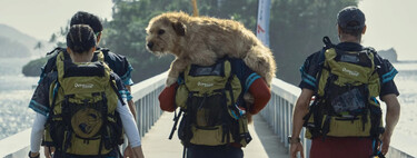 Triunfa en Prime México esta película de deportes y amistad canina, una emotiva historia real protagonizada por Mark Whalberg