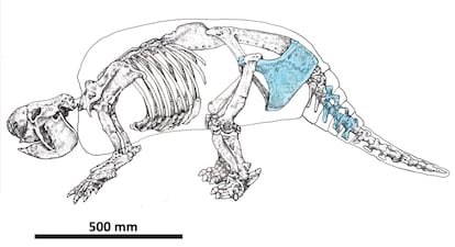 Rpresentación de un gliptodonte.