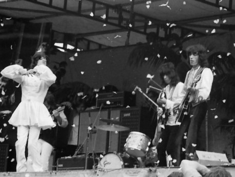 stonesatthepark