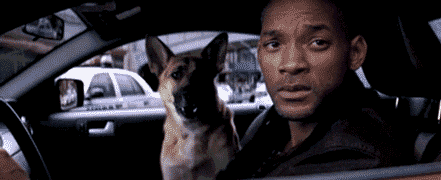Will Smith volverá a protagonizar a Robert Neville en la segunda parte de la película 'Soy leyenda'.- Blog Hola Telcel