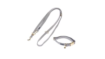 Set de collar y correa.