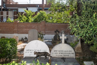 
Interior del cementerio británico en el barrio de Carabanchel donde sus muros colindan con viviendas. 
