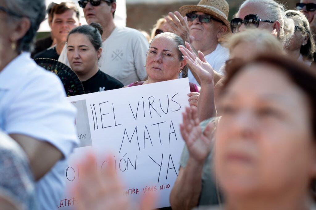 EL PAÍS