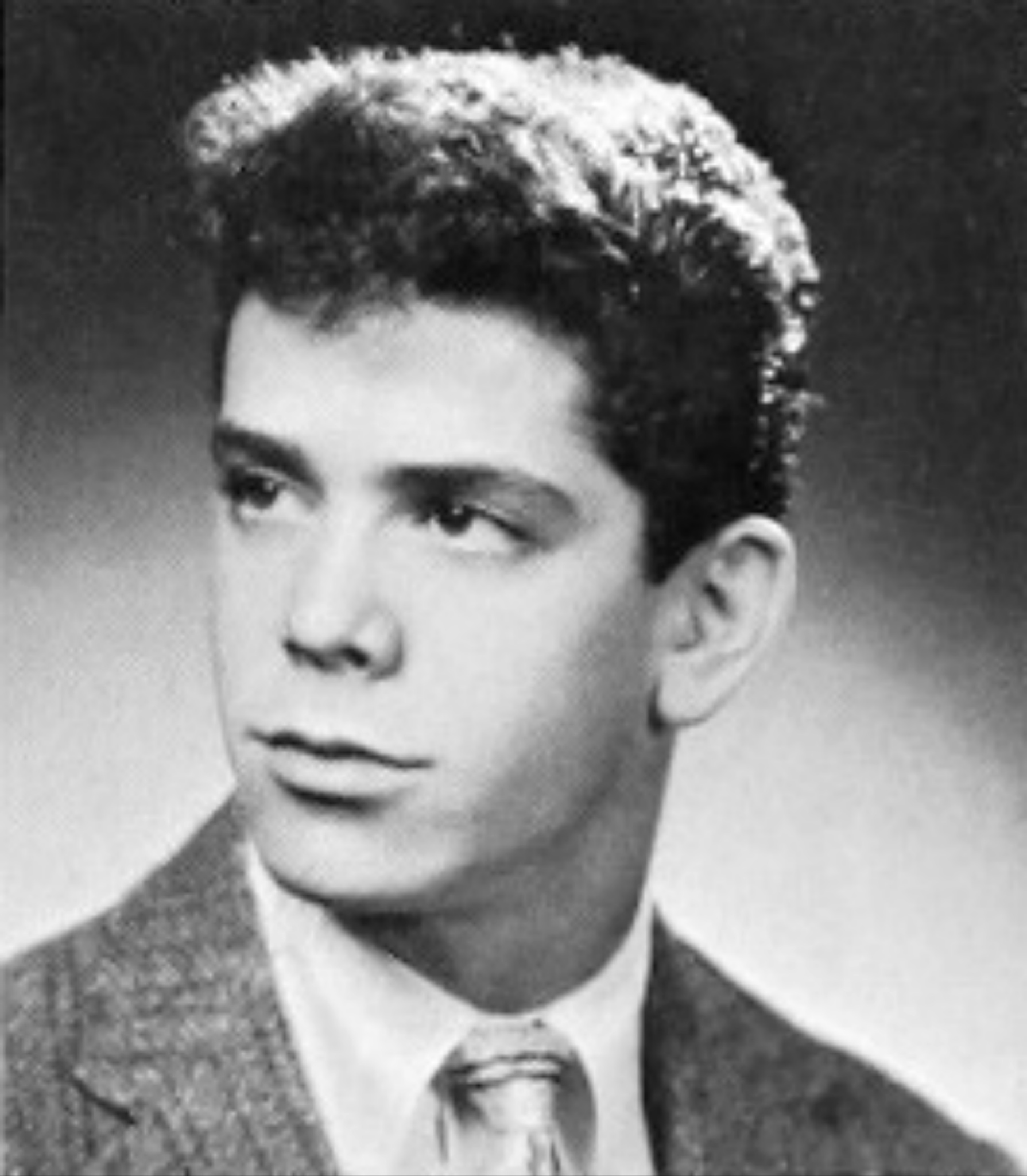 Lou Reed's Pickwick Records Era Officially Anthologized - Rock and Roll Globe