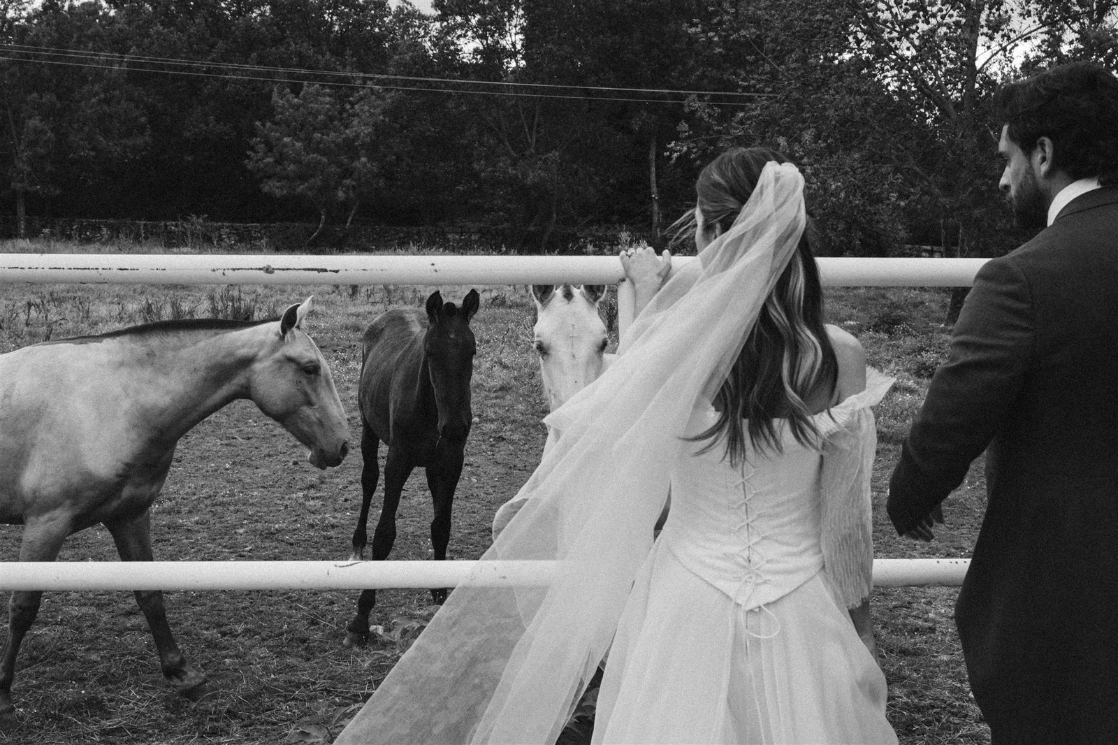 boda vila vestido novia medieval navascues