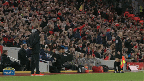 Jürgen Klopp celebrando un gol Antiguo técnico del Arsenal celebrando un gol junto a miles de personas en el estadio.- Blog Hola Telcel