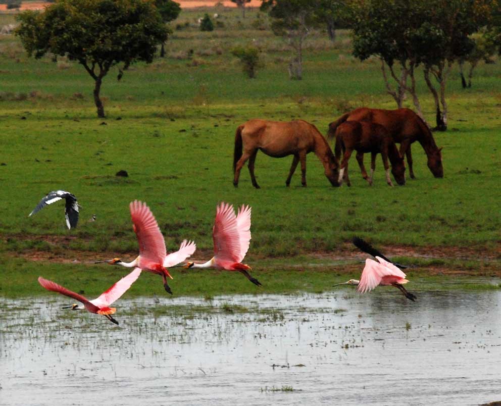 Descubre los Tesoros Turísticos de Venezuela: Destinos Imprescindibles para tu Próxima Aventura 