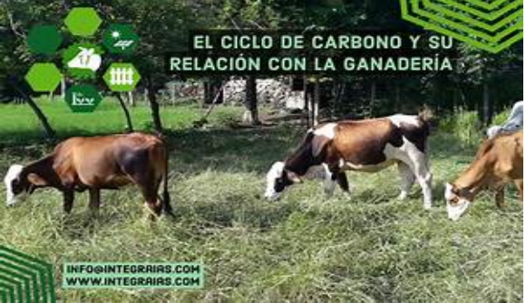 Treseus | Cómo la ganadería puede contribuir a la captación de carbono 
