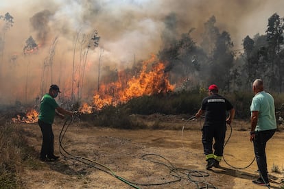 Varios bomberos trabajan por extinguir las llamas de un bosque en Soutelo, Portugal, este lunes.