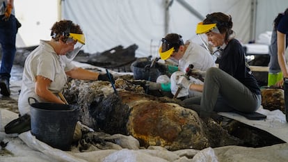 Técnicas del Centro de Arqueología Subacuática de Cádiz (CAS) del IAPH extraen los restos de cañones y piedras que servían de lastre al 'Delta I', el pecio del XVII reflotado en el puerto.