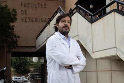 Miguel Motas, profesor de Toxicología de la Universidad de Murcia, el 18 de septiembre.