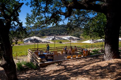 Los viñedos Joseph Phelps Vineyards, en St. Helena, en el vall de Napa (California).