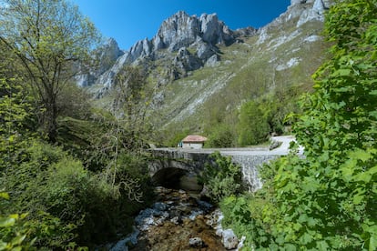 Un puente sobre el río Duje, en la localidad asturiana de Tielve.