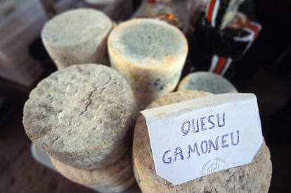 Piezas de queso Gamonéu en la plaza del Mercado de Cangas de Onís.