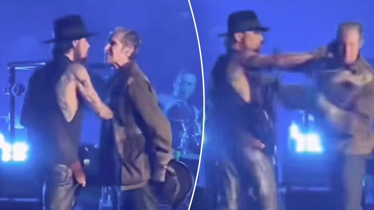 Jane's Addiction singer Perry Farrell attacks guitarist Dave Navarro  onstage | Fox News